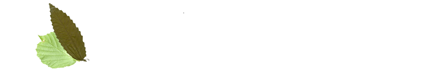 Ir a la web El QUesar de Gamoneo