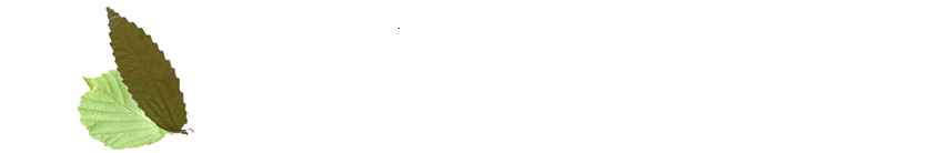 Ir a la web El Quesar de Gamoneo