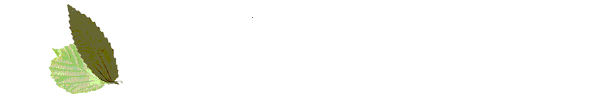Ir a la web El QUesar de Gamoneo