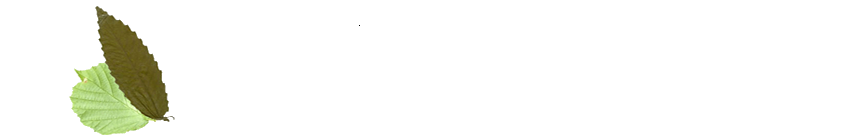 Ir a la web El QUesar de Gamoneo