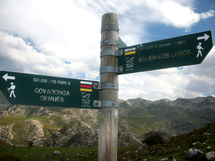 Ruta a Los Lagos desde Demués