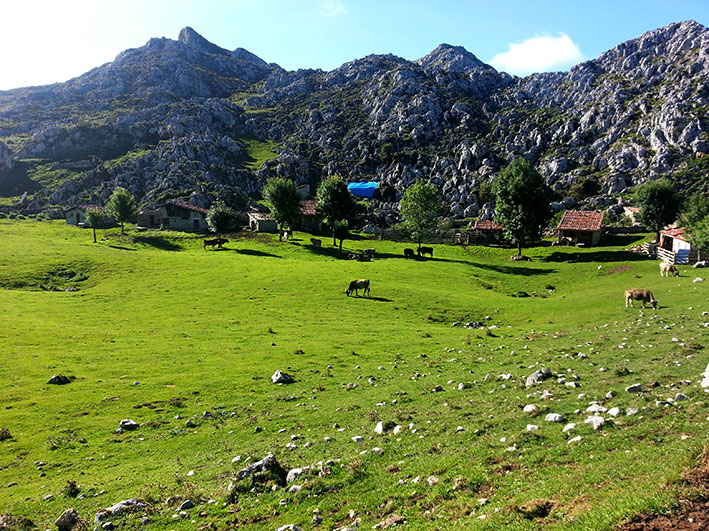Ruta a Los Lagos desde Demués