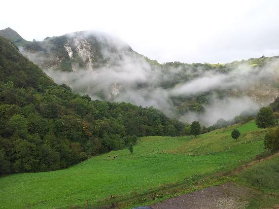 Naturaleza en Los Picos