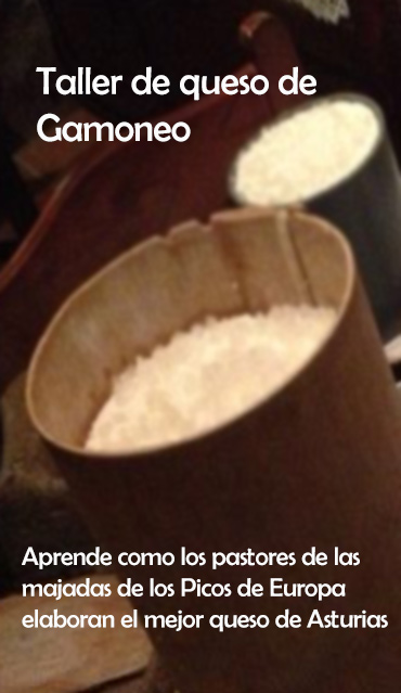 Taller de elaboración de queso de Gamoneo