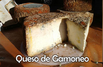 Elabora queso de Gamoneo en nuestro hotel