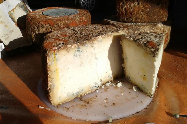 Queso de Gamoneo