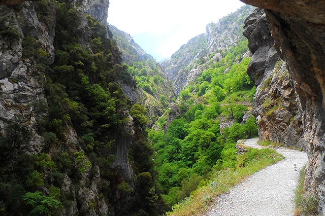 Ruta del Cares